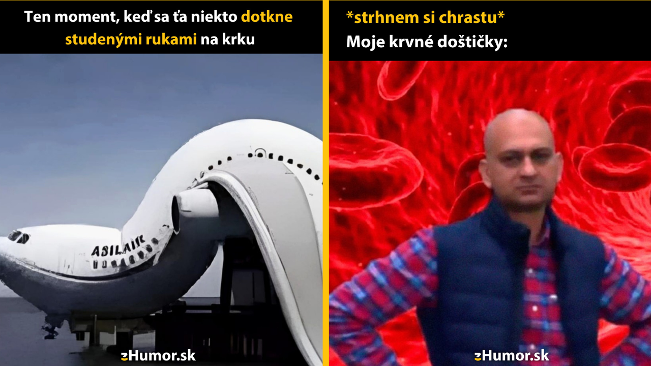 Zopár memečiek, ktoré vznikli, aby ti spríjemnili deň #1524: Čo som komu urobil?