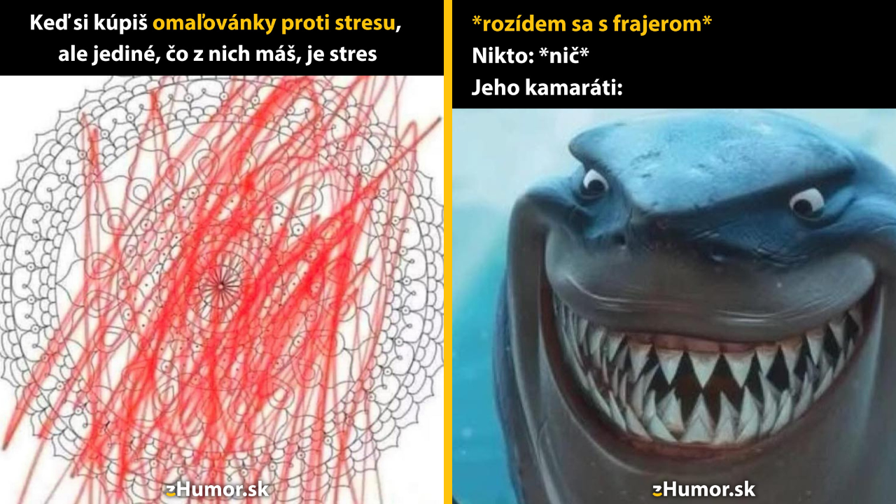 Zopár memečiek, ktoré vznikli, aby ti spríjemnili deň #1533: To som si asi veľmi nepomohol.