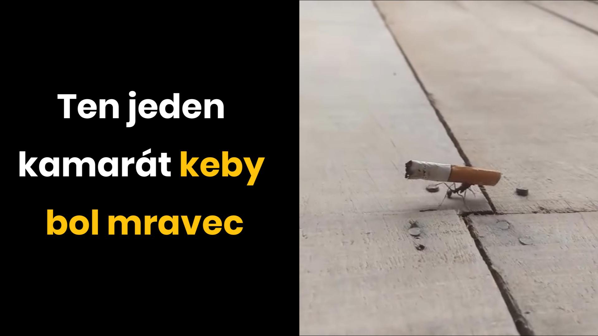 Cigaretka ma neopustí ani keby som mravec