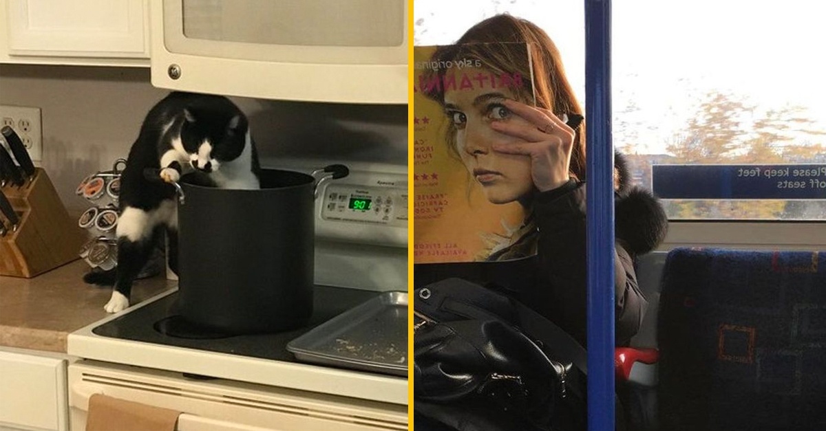 10+ dokonalých fotografií, ktoré sa ľudom podarilo zachytiť úplnou náhodou