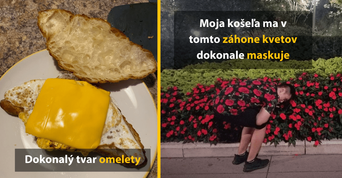 20 fotografií, na ktorých sa podarilo zachytiť dokonalé momenty