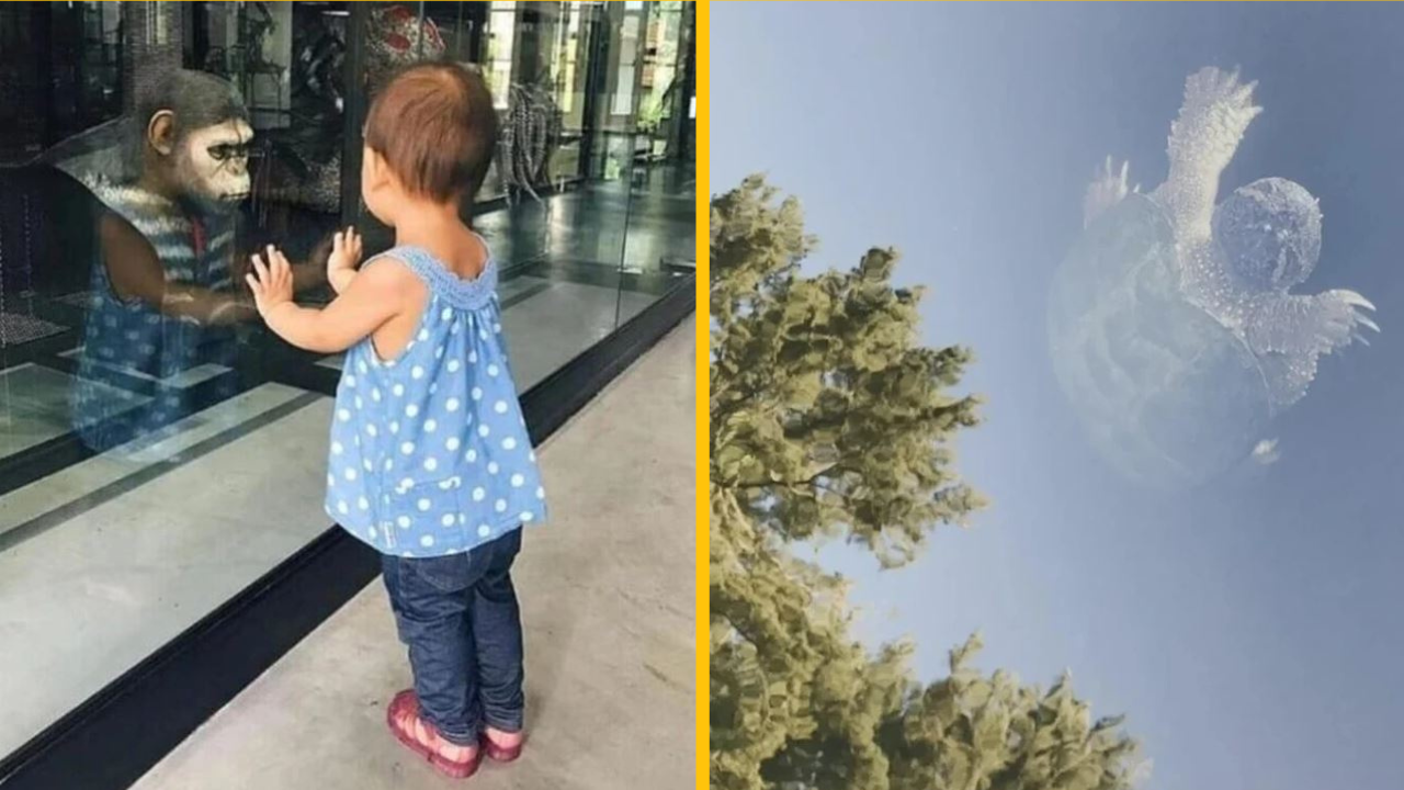 15+ fotografií, ktoré premenili bežné chvíle na optické ilúzie