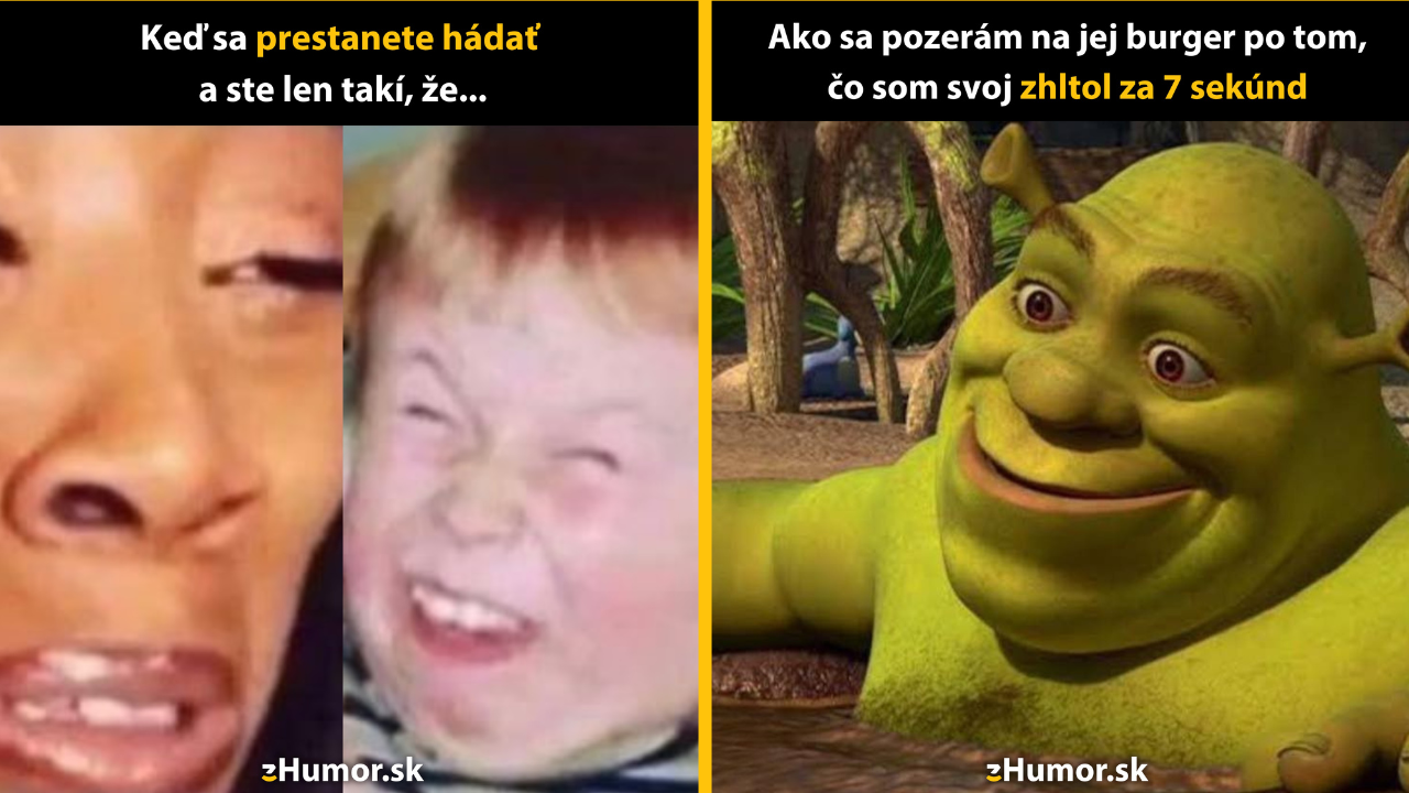 Zopár memečiek, ktoré vznikli, aby ti spríjemnili deň #1525: Teraz už si spokojný?