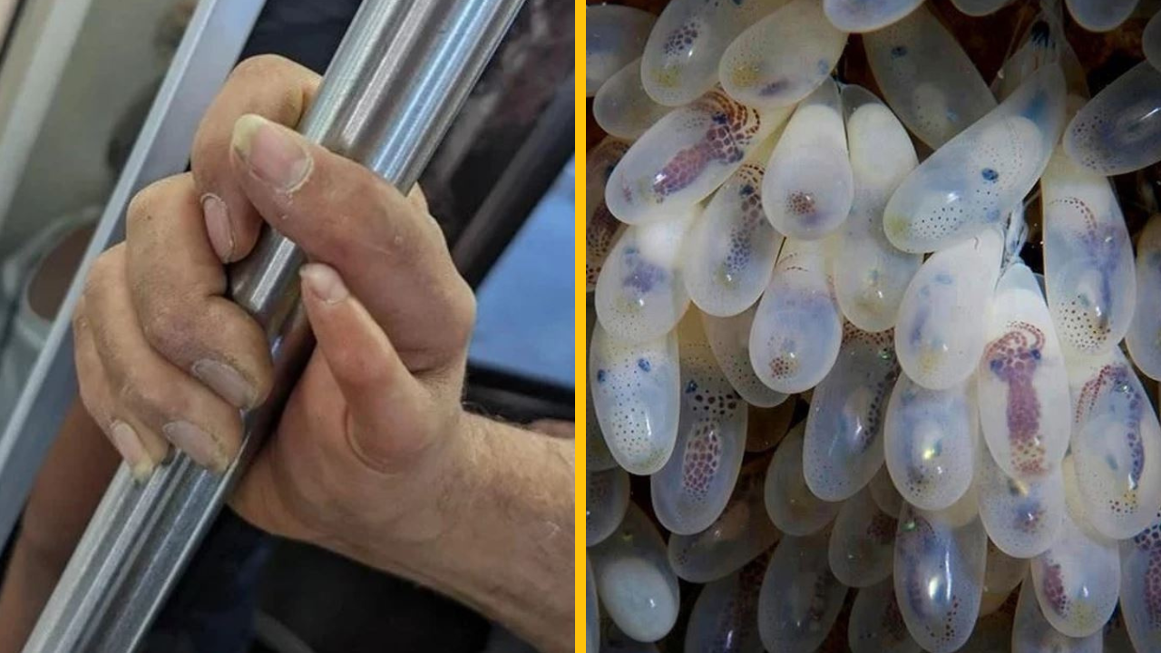 Fotografie, na ktorých nám príroda ukázala jej nepredvídateľnú silu