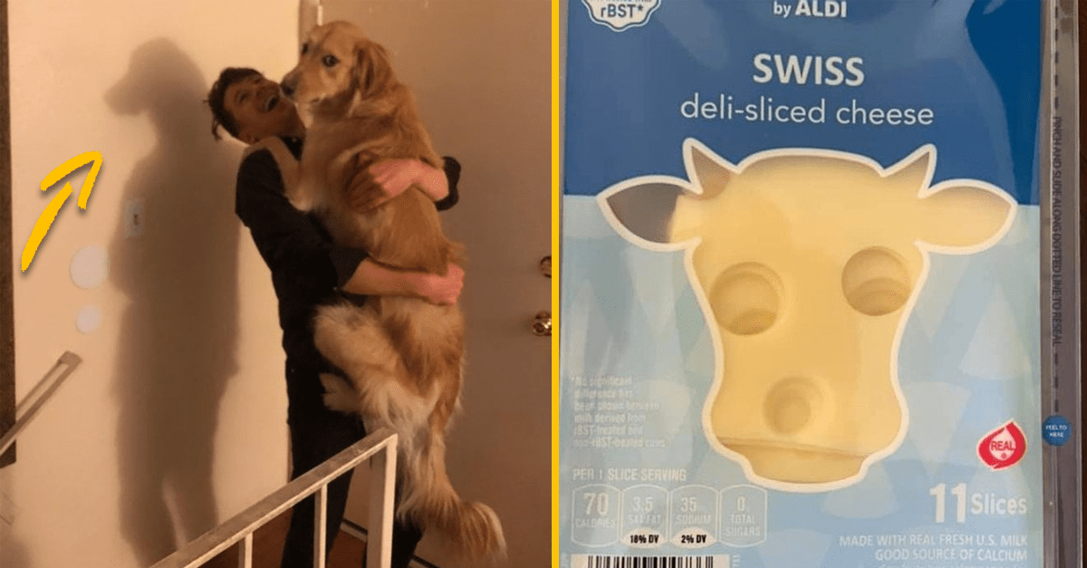 10+ vtipných fotografií, ktorým dáva uhol pohľadu úplne nový význam