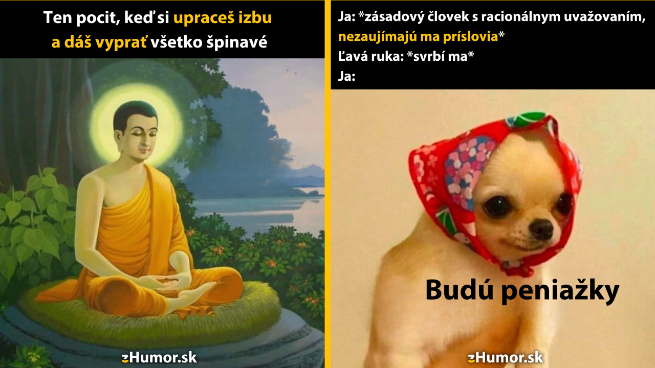 Zopár memečiek, ktoré vznikli, aby ti spríjemnili deň #1526: Môj život má opäť zmysel.