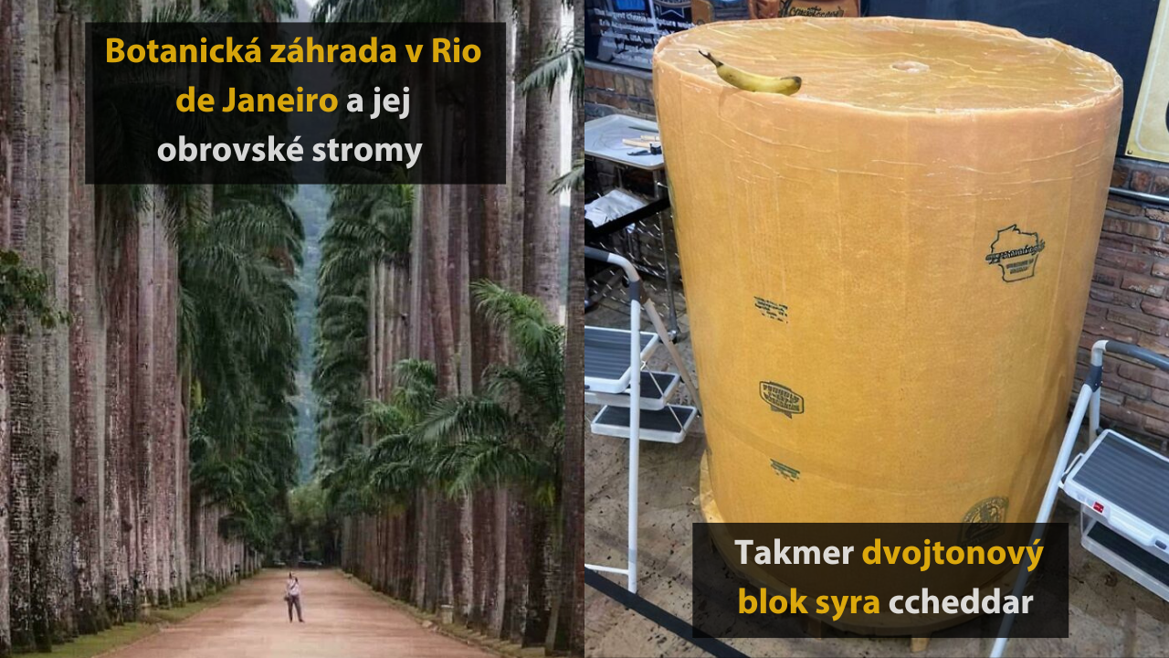 10 zaujímavých vecí, ktoré sú väčšie, než ste si mysleli #1