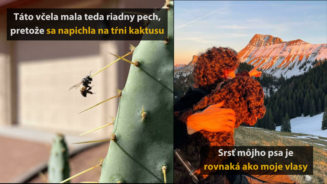 10 náhodných, no zaujímavých fotografií z celého sveta #2