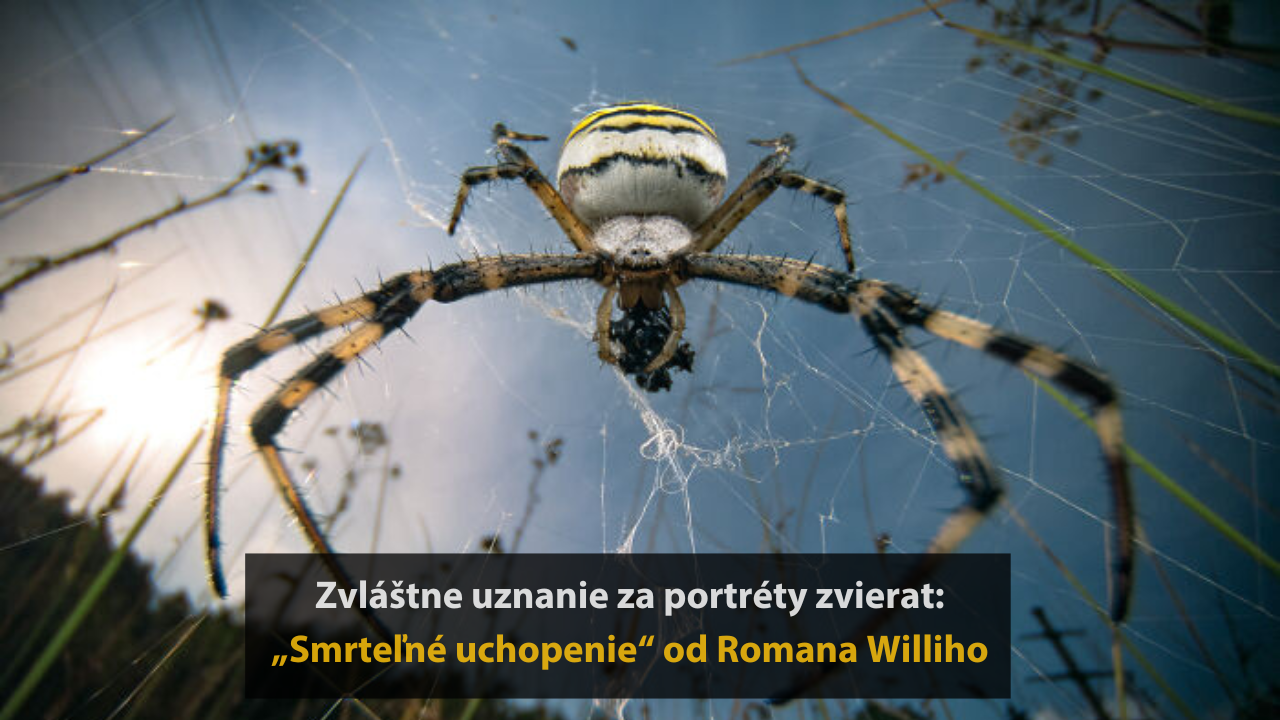 10 ocenených fotografií z fotografickej súťaže „inFocus“ #3