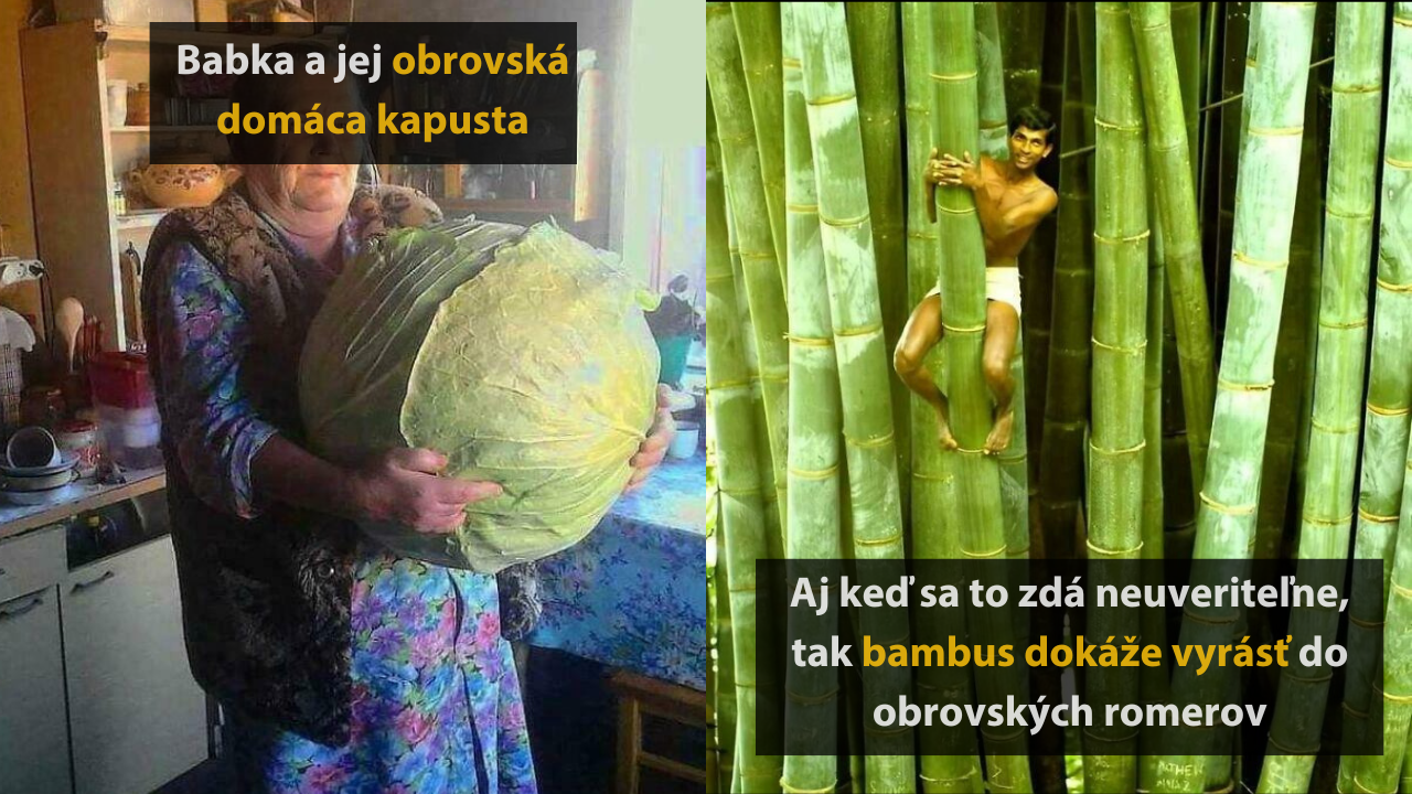 10 zaujímavých vecí, ktoré sú väčšie, než ste si mysleli #2