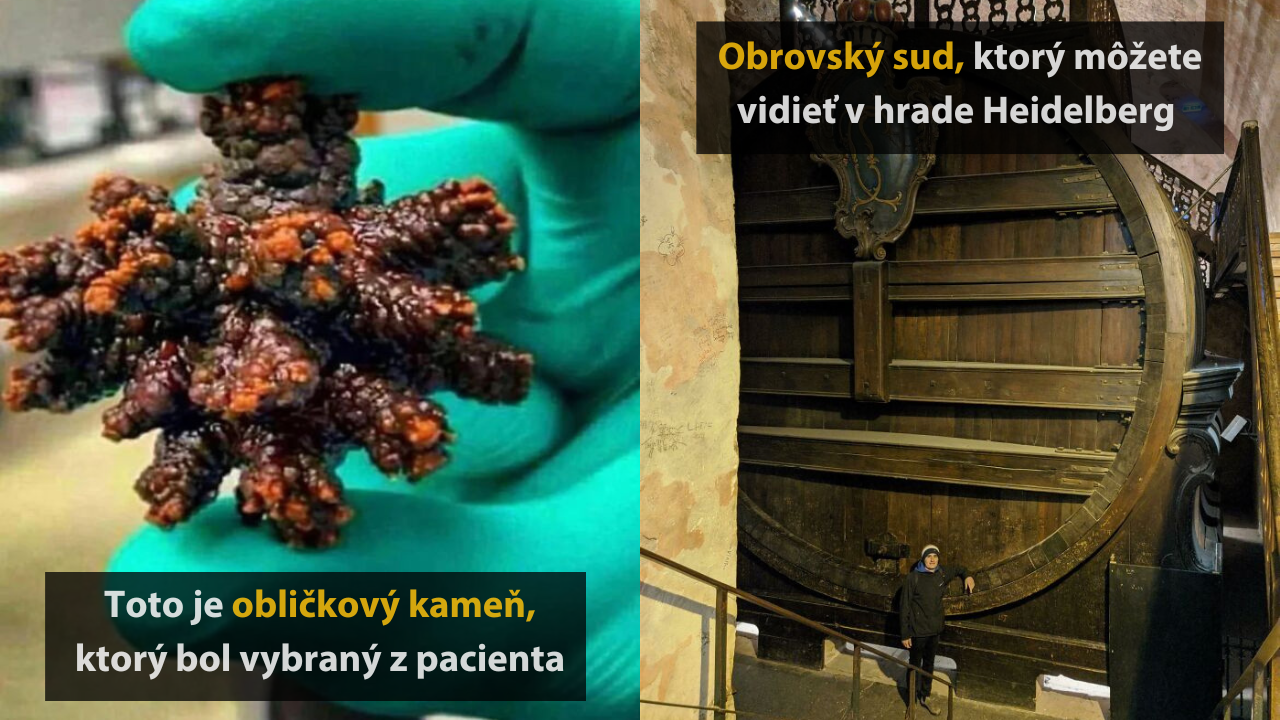 10 zaujímavých vecí, ktoré sú väčšie, než ste si mysleli #3