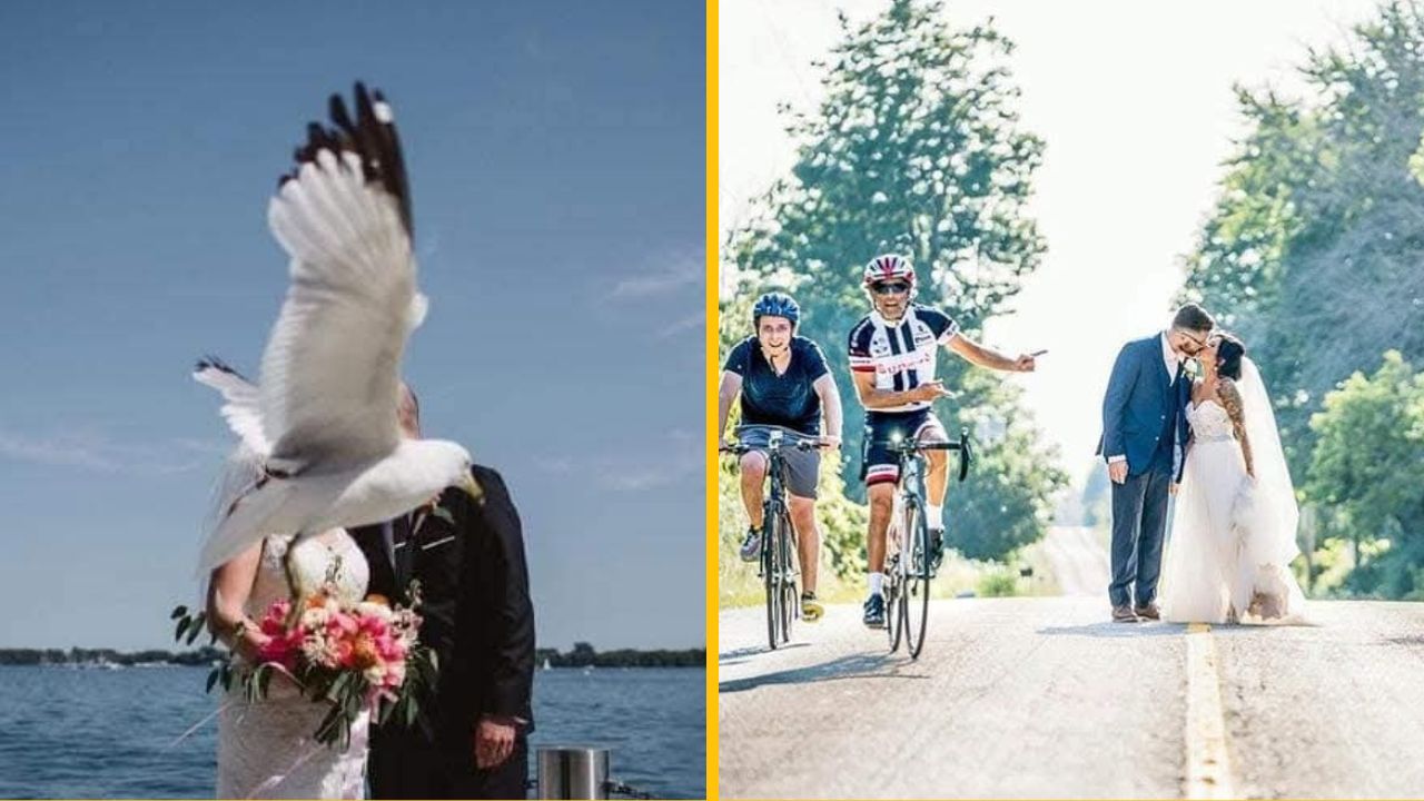 10 prípadov najzábavnejších svadobných fotiek, ktoré vznikli úplnou náhodou