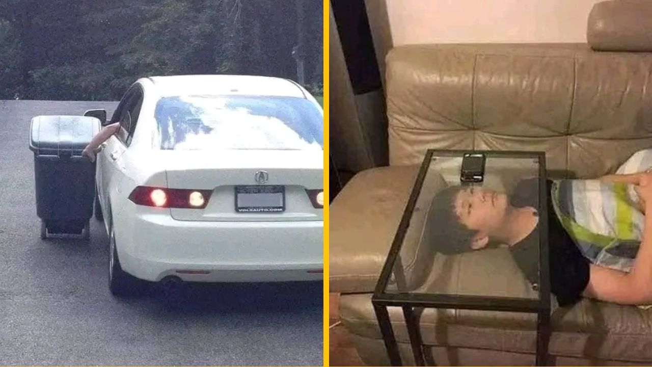 10 zábavných fotodôkazov, že leniví ľudia vedia byť mimoriadne kreatívni