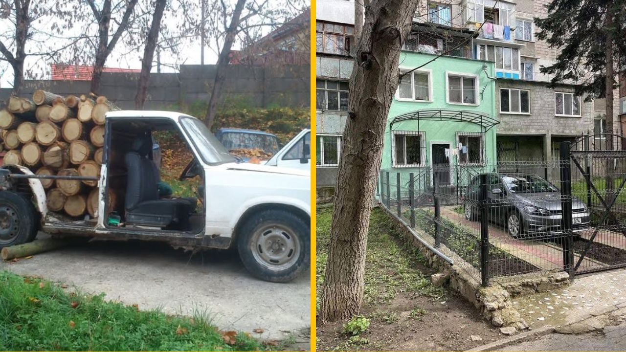 10 najkreatívnejších majiteľov áut na svete, ktorých výtvory vás pobavia #2