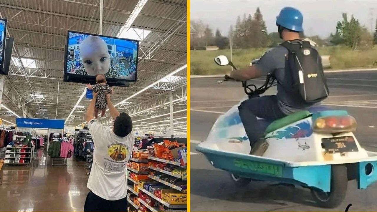 10 vtipných fotografií, kvôli ktorým sa oplatí platiť si internet