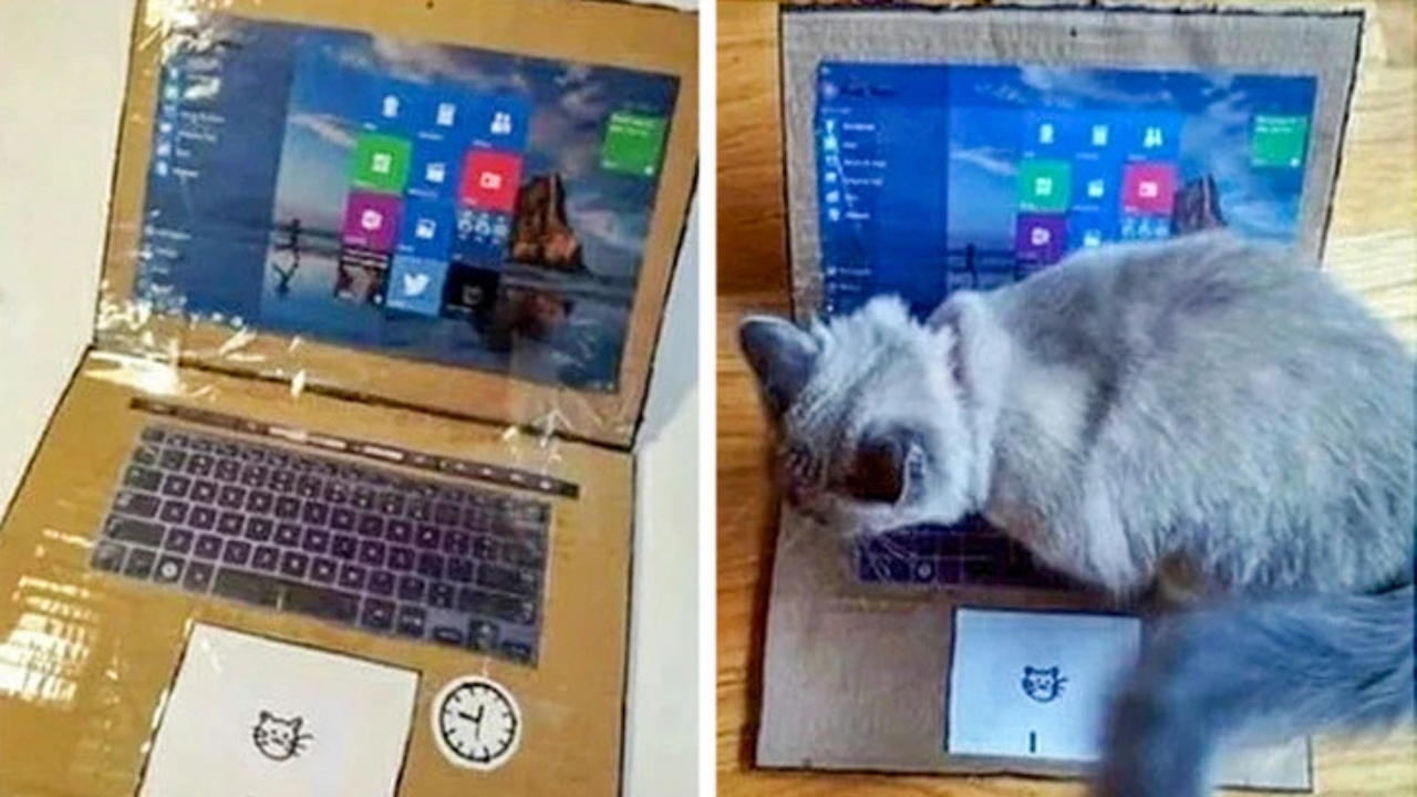 14 ľudí a ich riešenia aj na tie najzapeklitejšie problémy