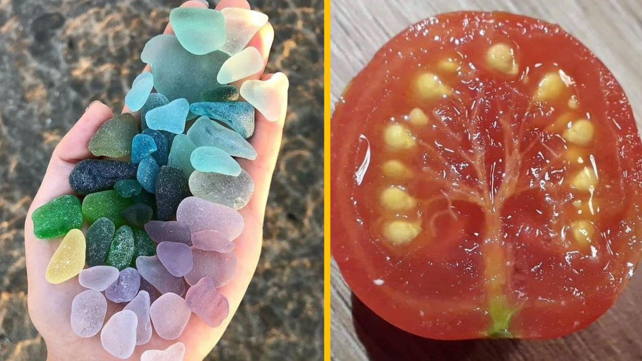 15 pripomienok, že príroda je stále tým najkrajším plátnom