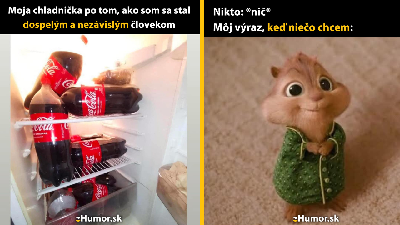 Zopár memečiek, ktoré vznikli, aby ti spríjemnili deň #1536: Asi to mohlo byť aj lepšie.