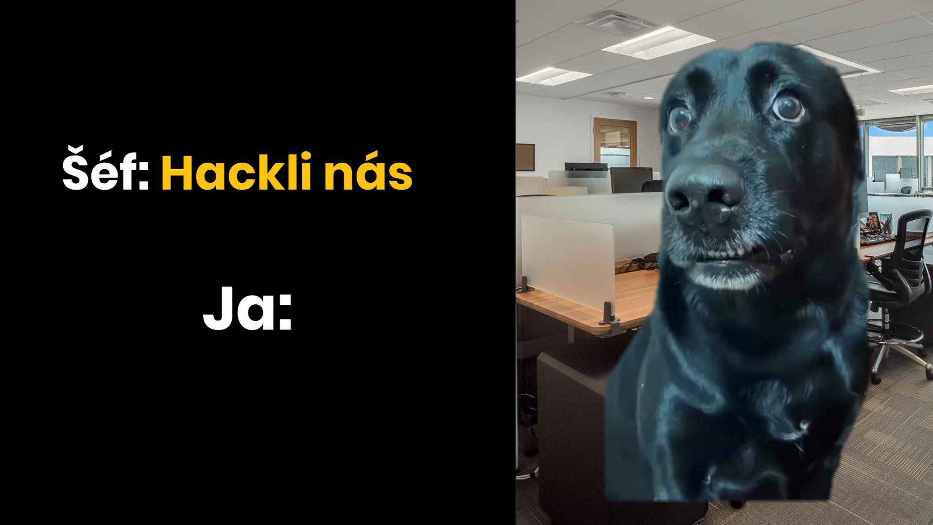 To určite nebolo tým