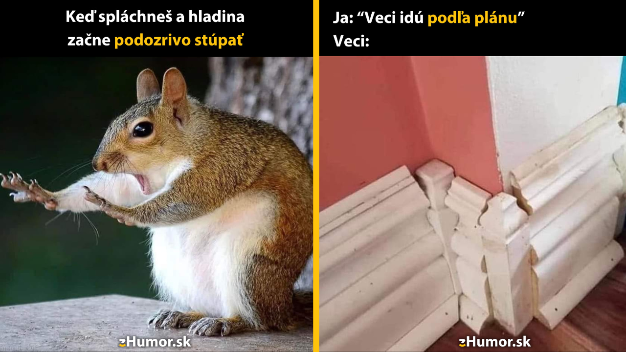 Zopár memečiek, ktoré vznikli, aby ti spríjemnili deň #1537: Tak presne toto som nechcel.