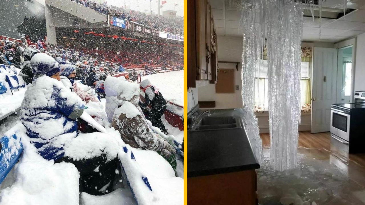 Situácie, v ktorých mali ľudia a príroda úplne odlišné plány