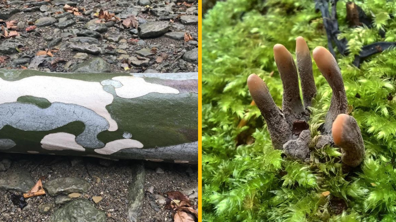 Matka príroda nepotrebovala žiadne špeciálne efekty, aby na nás zapôsobila