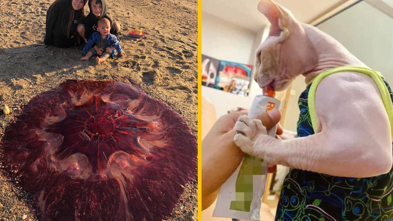 17 zázrakov, ktoré si pre nás prichystala príroda