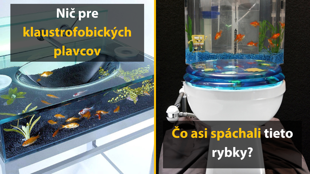 15 dizajnov akvárií, ktoré sú pastvou pre oči (nielen pre rybky)