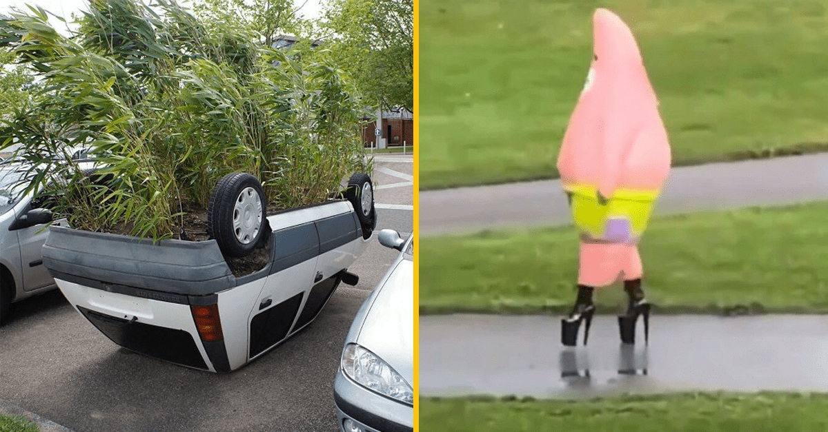 15 divných fotografií, ktoré nedávajú zmysel ale sú vtipné