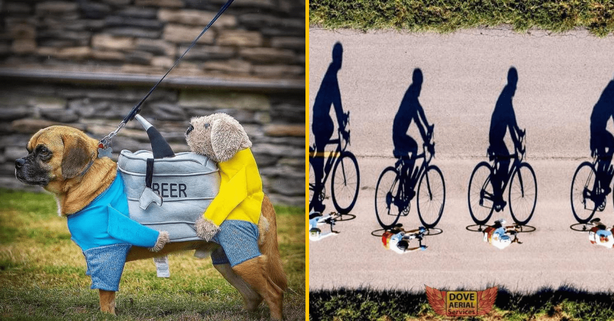 30+ Obrázkov, ktorými dokonale zabiješ čas #529 – Kreatívny dizajn na bankomatovú kartu a geniálne pouličné umenie