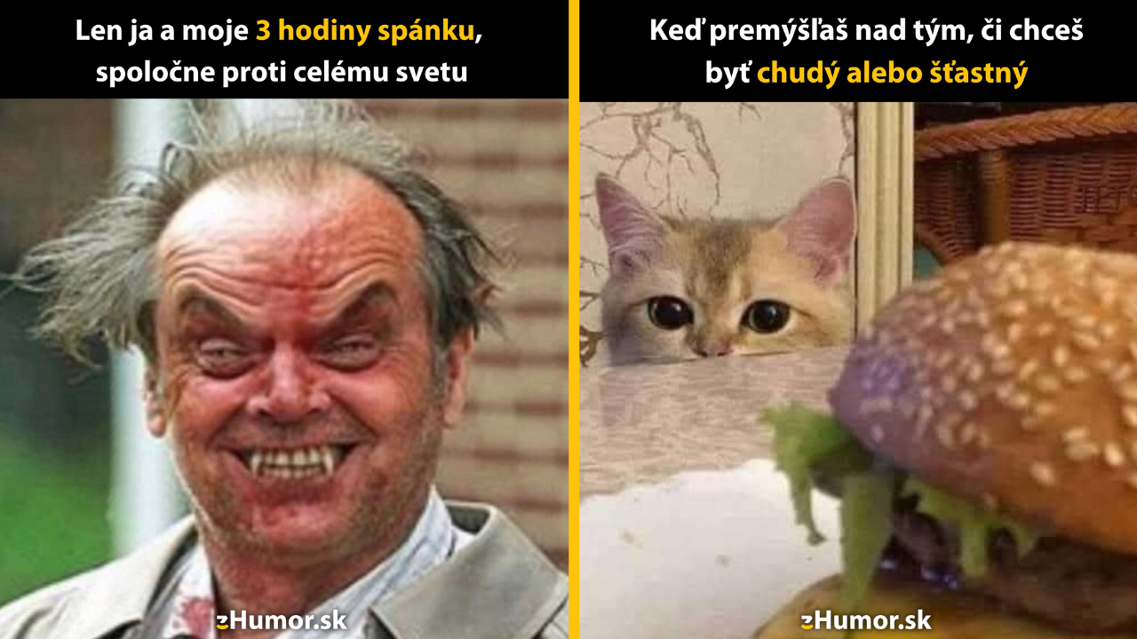 Zopár memečiek, ktoré vznikli, aby ti spríjemnili deň #1534: Nikdy to neprestanem ľutovať.