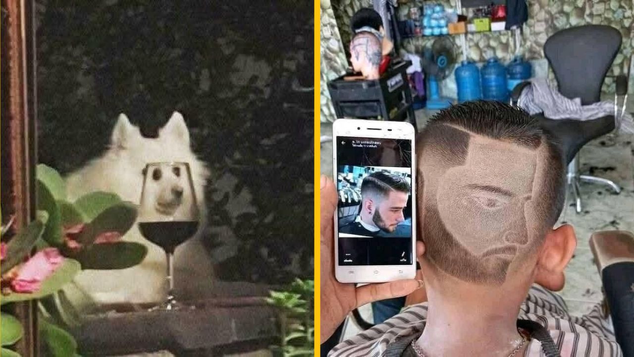 10 úplne náhodných fotografií, na ktorých sa dobre zasmejete