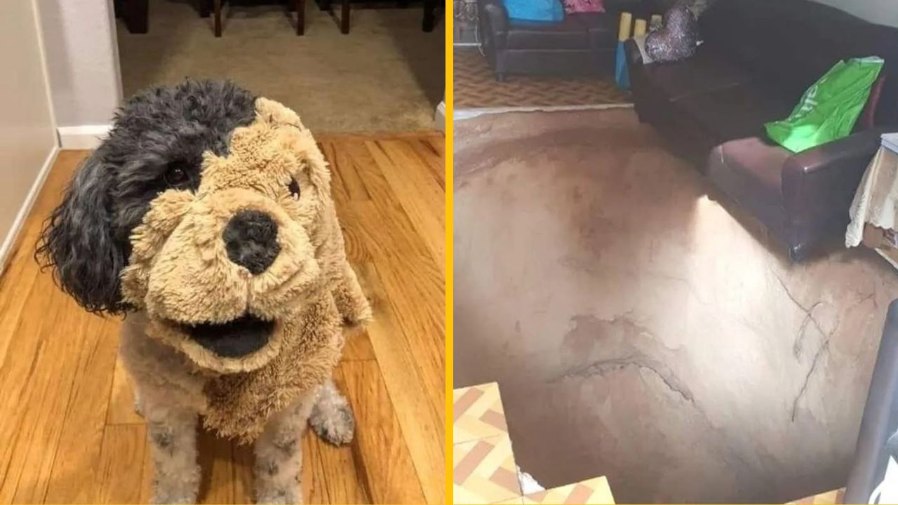 10 zábavných fotografií, ktoré si budete musieť pozrieť minimálne 2x