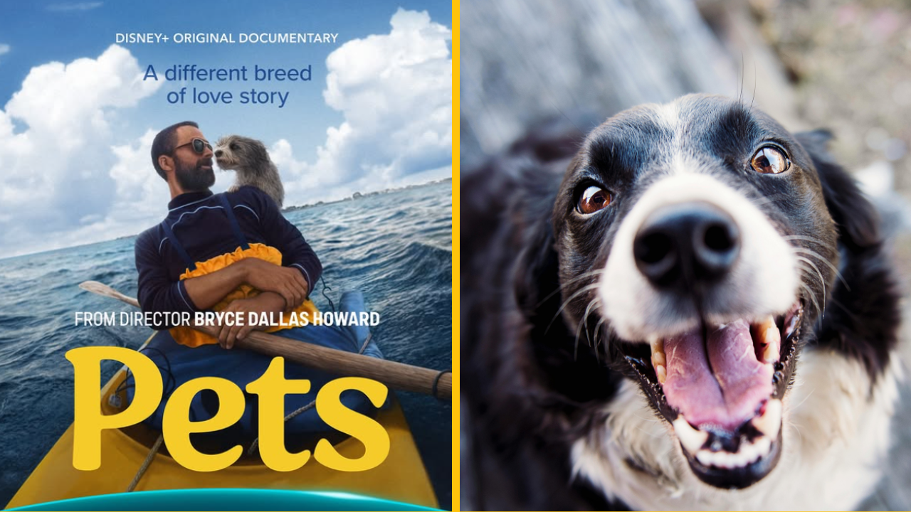 Disney+ pozná dátum vydania dokumentu „Pets“ o inom druhu lásky