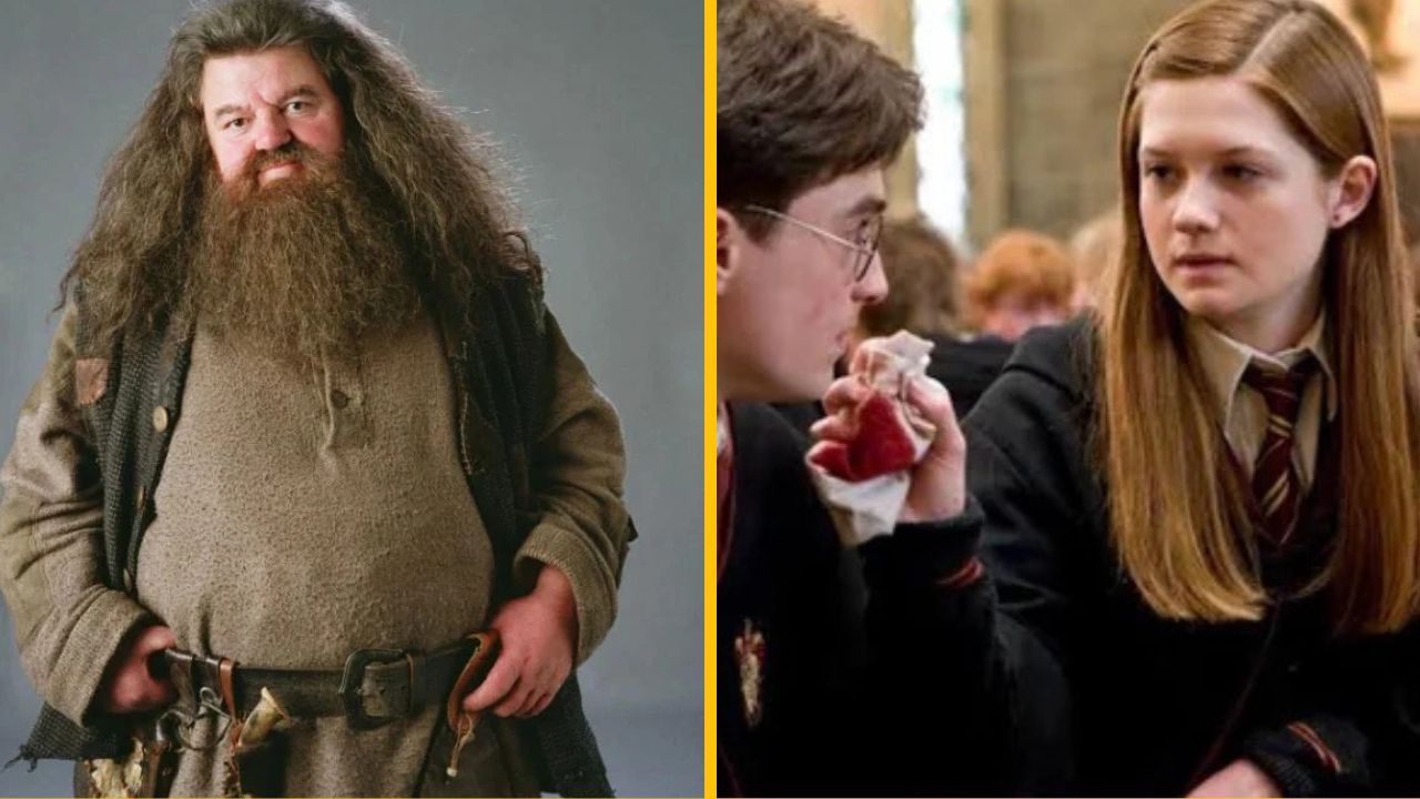 Čo sa stalo s hlavnými postavami z Harryho Pottera o 19 rokov neskôr?