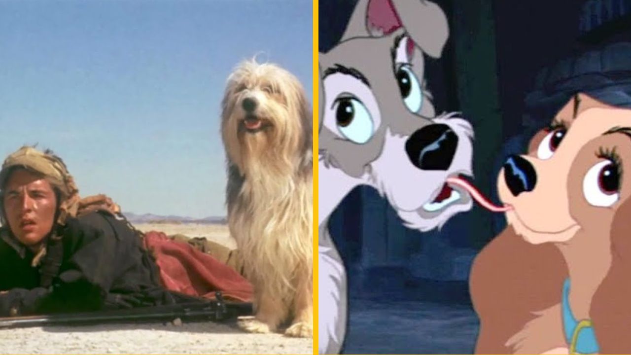 Toto je vraj 15 najlepších filmov o psoch všetkých čias