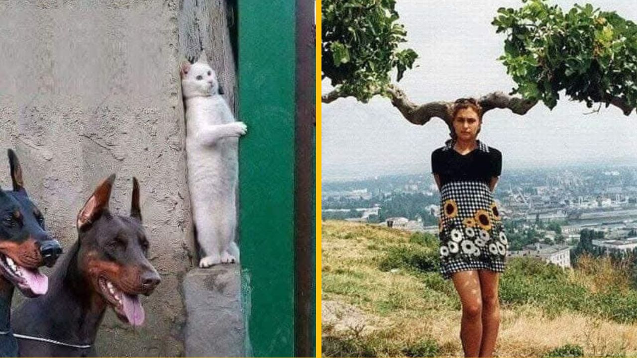 10 vtipných perfektne načasovaných fotiek, ktoré vám zlepšia víkend