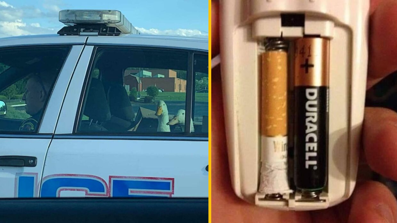 11 podivných obrázkov, ktoré nedávajú zmysel