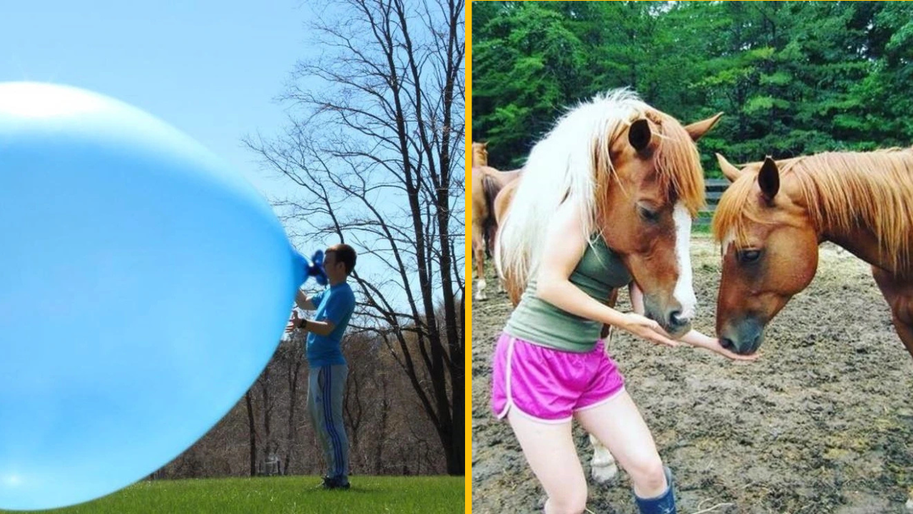 13 fotiek, v ktorých je najdôležitejší uhol pohľadu