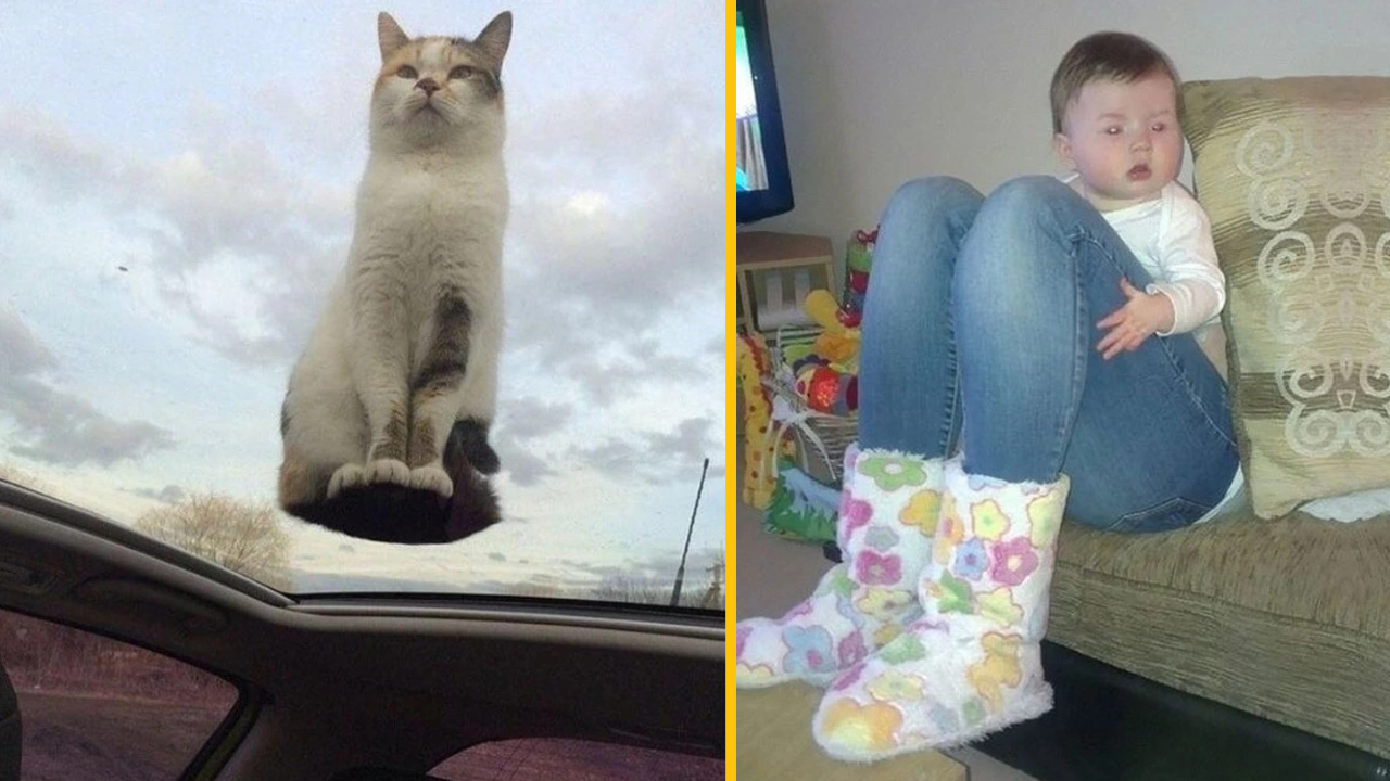 12 fotografií, ktoré sa nepodaria len tak