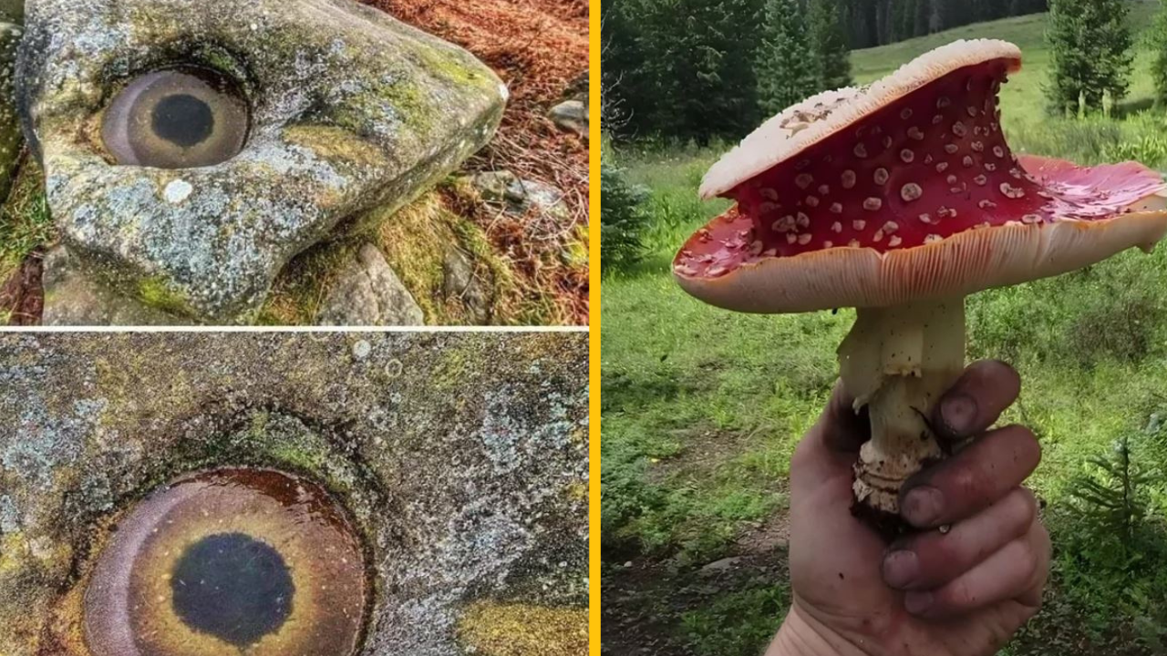 Fotografie, ktoré dokazujú, že na nás vždy čaká nová várka zázrakov