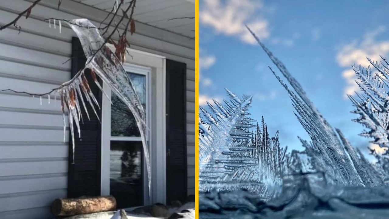 25 fotografii, ktoré dokazujú, že matka príroda je skutočným umelcom