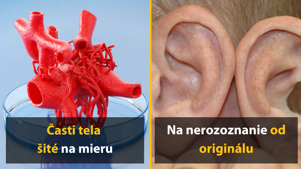 10 obrázkov ľudských orgánov, ktoré sú produktom 3D tlačiarne