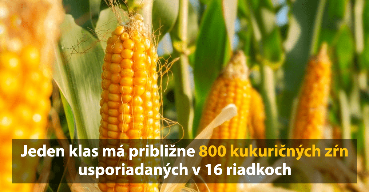 10 zbytočných ale o to zaujímavejších faktov