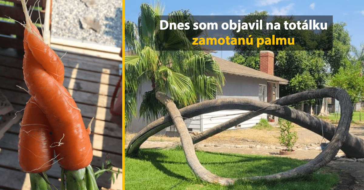 10 zaujímavých fotografií, kedy si matka príroda tak trochu uletela