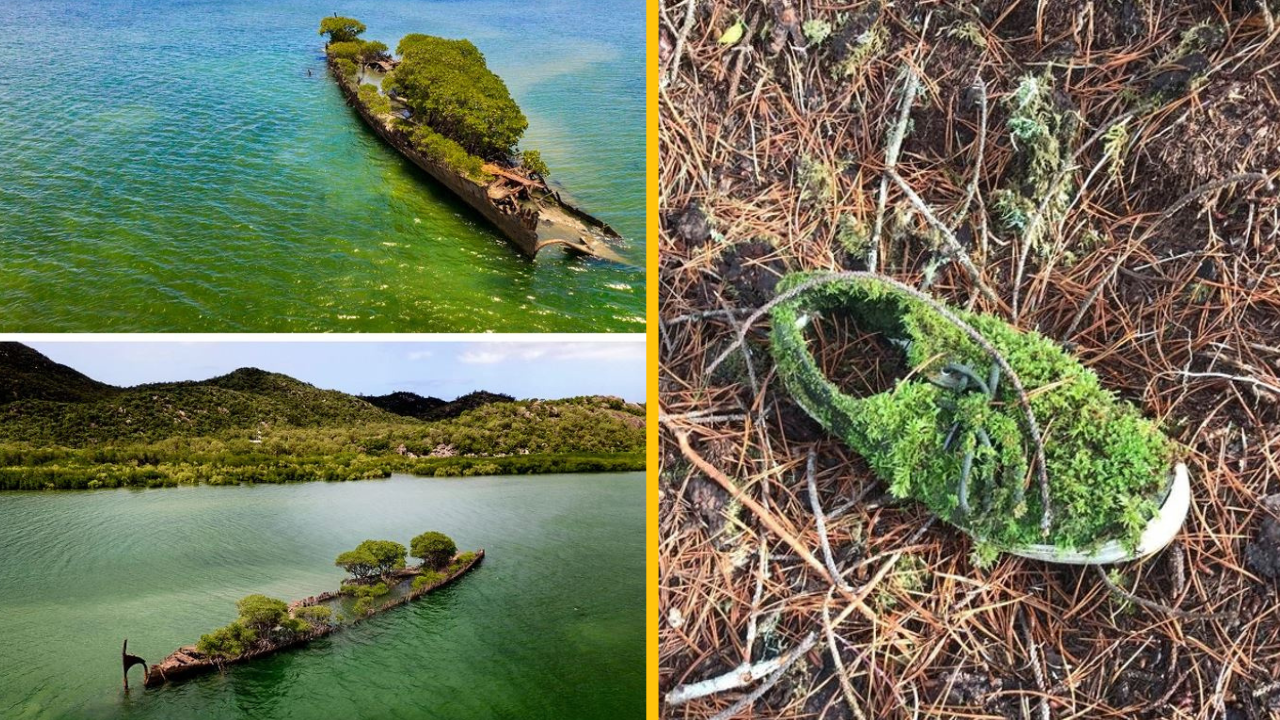 Fotografie miest, nad ktorými príroda prevzala kontrolu