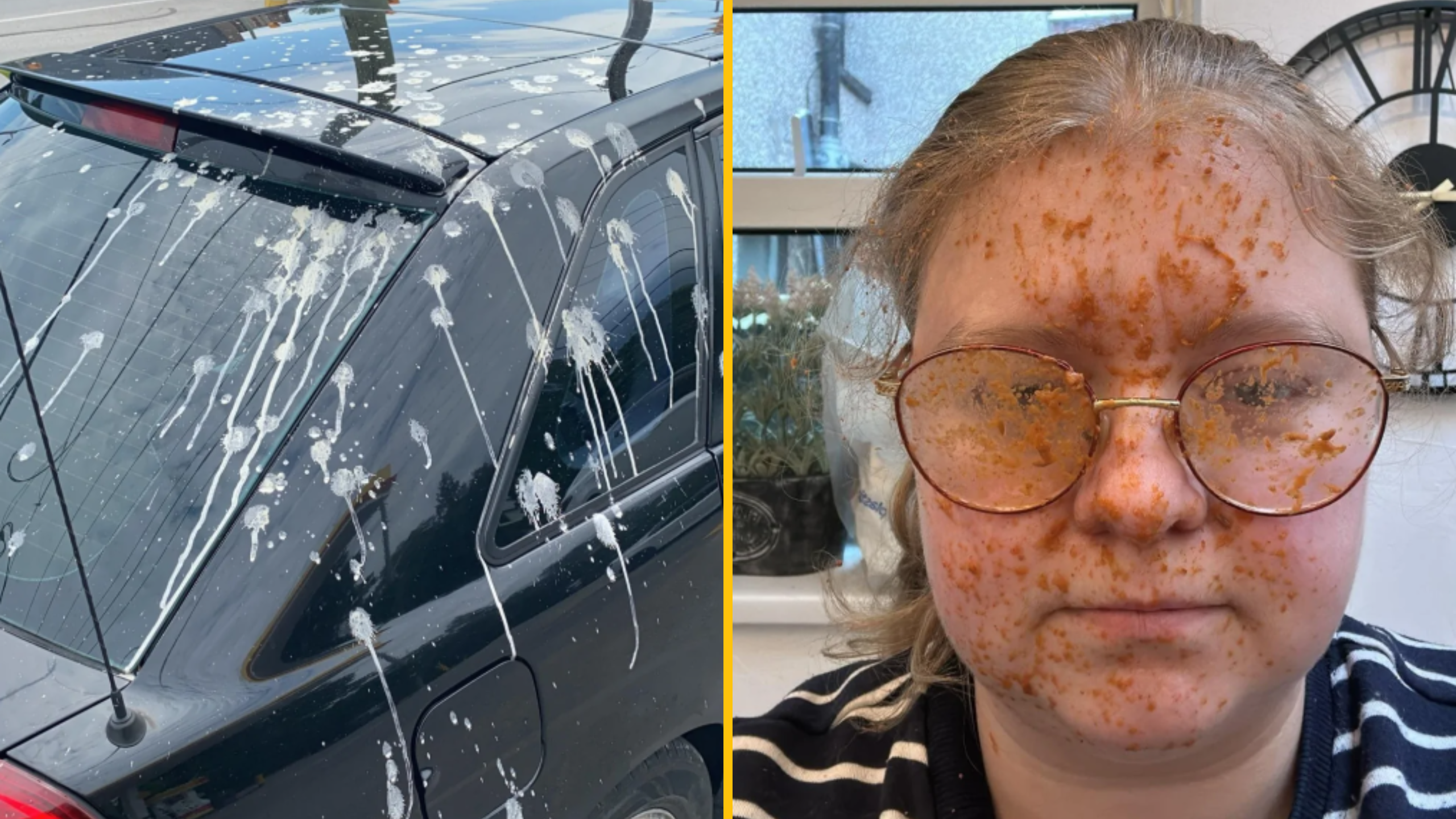 Myslíš si, že máš hrozný deň? Pozri sa na týchto smoliarov! PART 2