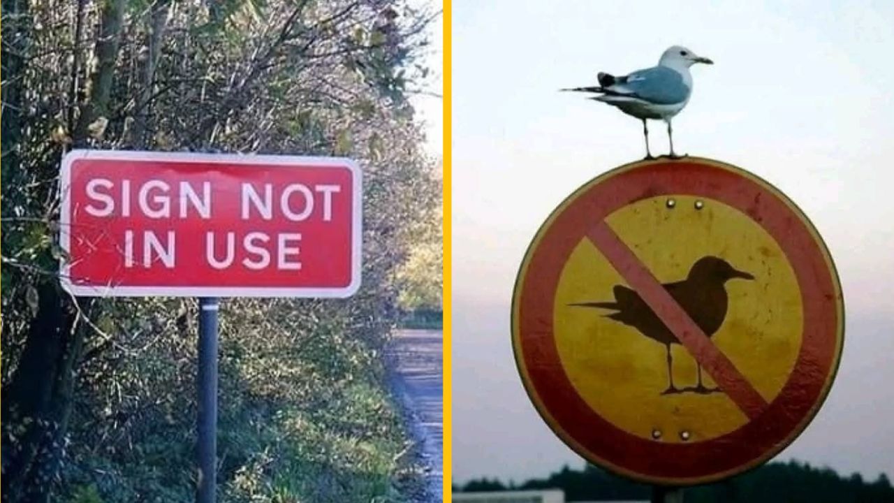 10 fotiek najzbytočnejších vecí na svete, ktoré vás zrejme pobavia #3