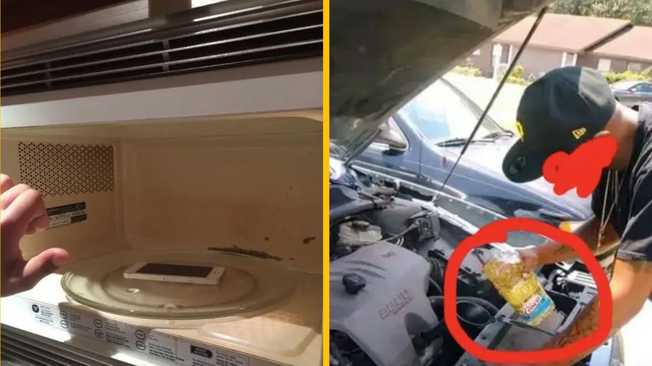 10 zábavných fotiek, po ktorých si poviete, že je zázrak, že ľudstvo ešte nevyhynulo