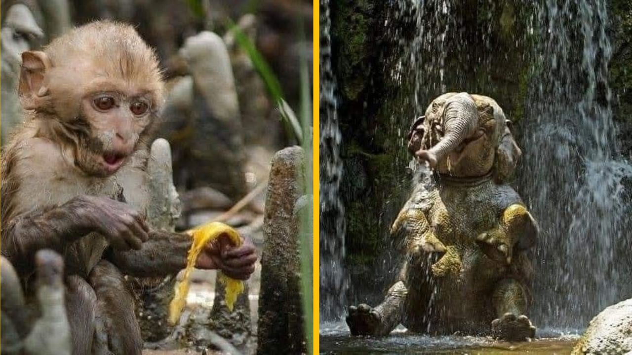 10 vtipných fotiek zvierat a prírody, ktoré vás pobavia #6